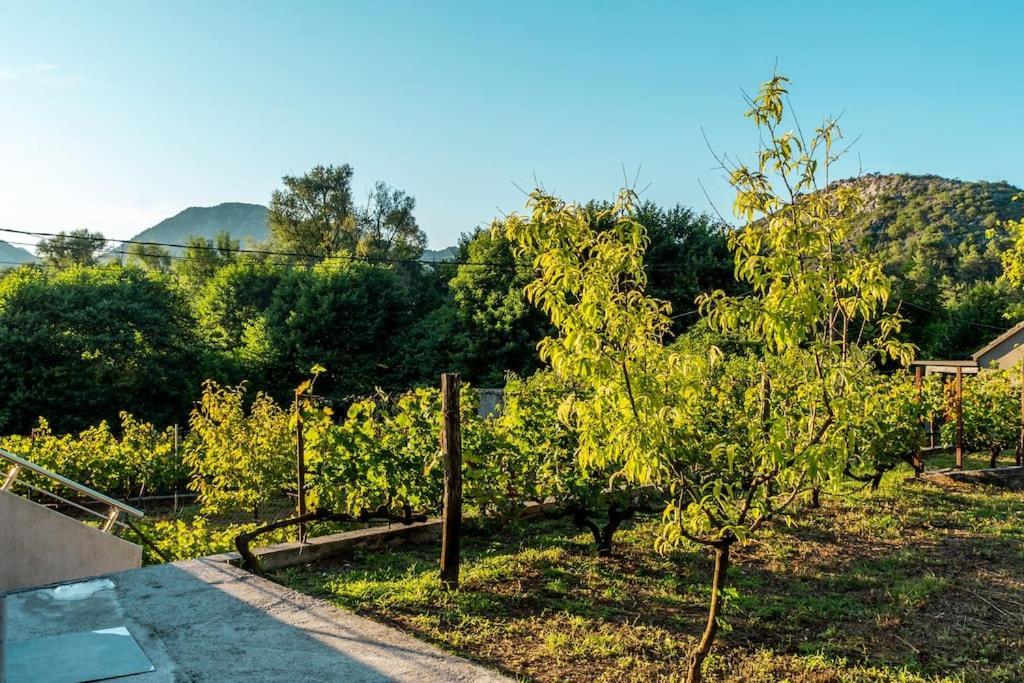 Villa Pavle'S Oasis Virpazar Exterior foto